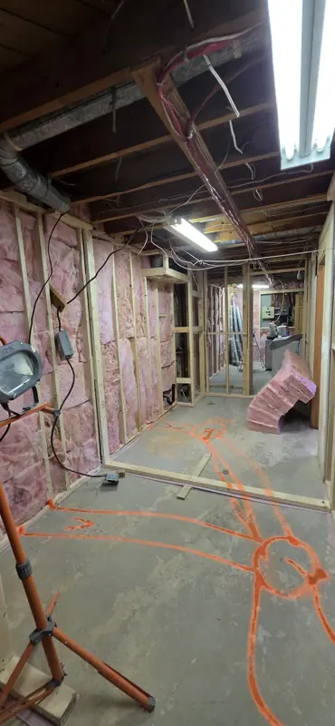 Basement ceiling and framing